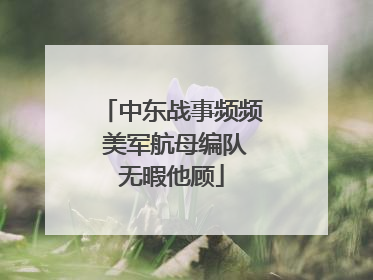 中东战事频频 美军航母编队无暇他顾