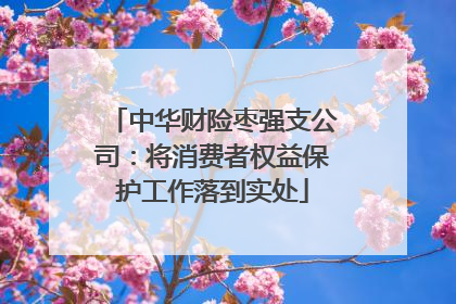 中华财险枣强支公司：将消费者权益保护工作落到实处