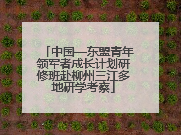 中国—东盟青年领军者成长计划研修班赴柳州三江多地研学考察