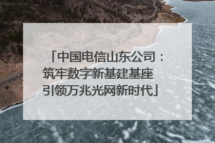 中国电信山东公司：筑牢数字新基建基座 引领万兆光网新时代