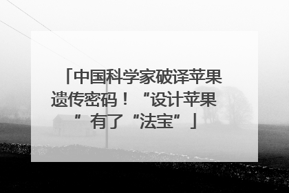 中国科学家破译苹果遗传密码！“设计苹果”有了“法宝”