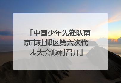 中国少年先锋队南京市建邺区第六次代表大会顺利召开