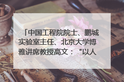 中国工程院院士、鹏城实验室主任、北京大学博雅讲席教授高文：“以人为本 智能向善” 推动文化与科技相生相促｜聚焦2025文化强国建设高峰论坛
