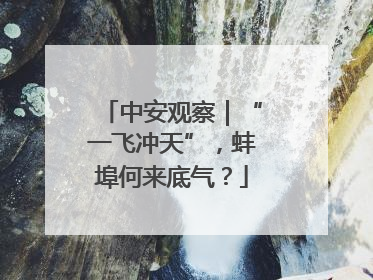 中安观察｜“一飞冲天”，蚌埠何来底气？