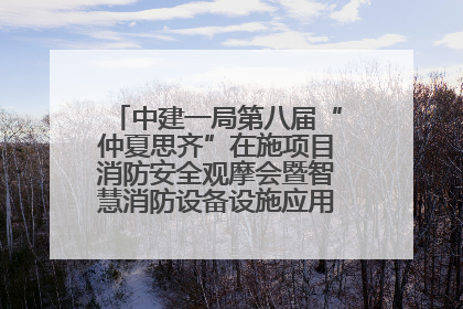 中建一局第八届“仲夏思齐”在施项目消防安全观摩会暨智慧消防设备设施应用交流会成功举办