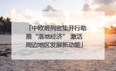 中欧班列密集开行助推“落地经济” 激活周边地区发展新动能