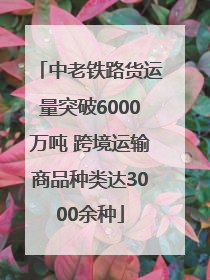 中老铁路货运量突破6000万吨 跨境运输商品种类达3000余种