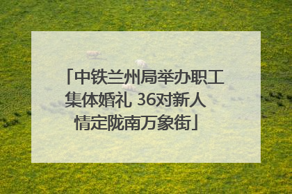 中铁兰州局举办职工集体婚礼 36对新人情定陇南万象街
