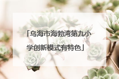 乌海市海勃湾第九小学创新模式有特色