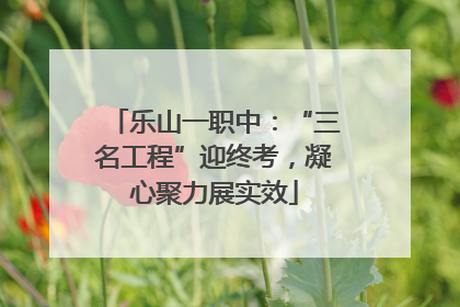 乐山一职中：“三名工程”迎终考，凝心聚力展实效
