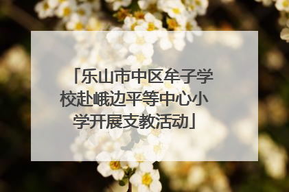 乐山市中区牟子学校赴峨边平等中心小学开展支教活动
