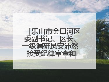 乐山市金口河区委副书记、区长、一级调研员安沛然 接受纪律审查和监察调查