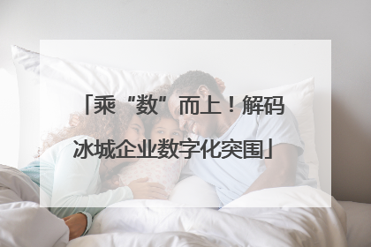 乘“数”而上！解码冰城企业数字化突围
