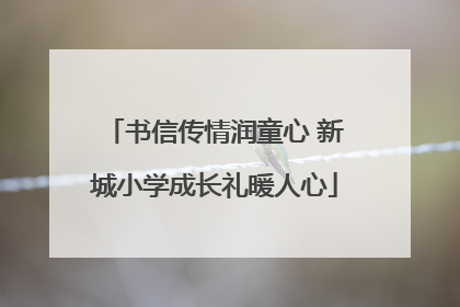 书信传情润童心 新城小学成长礼暖人心