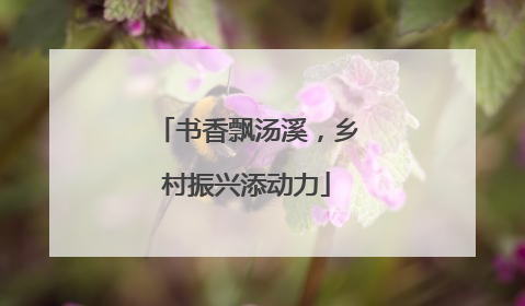 书香飘汤溪，乡村振兴添动力