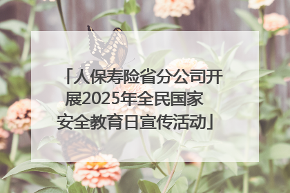 人保寿险省分公司开展2025年全民国家安全教育日宣传活动