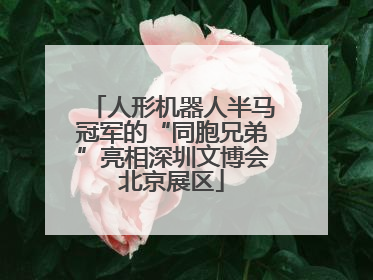 人形机器人半马冠军的“同胞兄弟”亮相深圳文博会北京展区