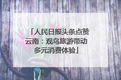 人民日报头条点赞云南：观鸟旅游带动多元消费体验