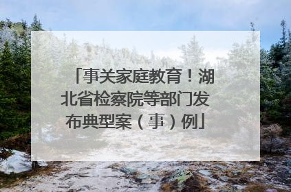 事关家庭教育！湖北省检察院等部门发布典型案（事）例