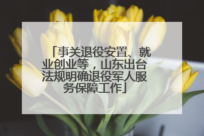 事关退役安置、就业创业等，山东出台法规明确退役军人服务保障工作