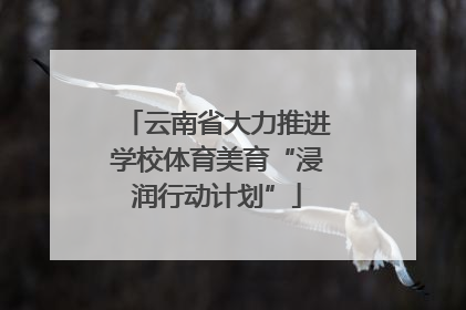 云南省大力推进学校体育美育“浸润行动计划”