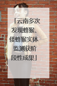 云南多次发现蜂猴、倭蜂猴实体 监测获阶段性成果