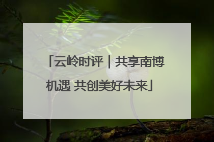 云岭时评｜共享南博机遇 共创美好未来