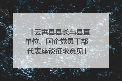 云霄县县长与县直单位、国企党员干部代表座谈征求意见