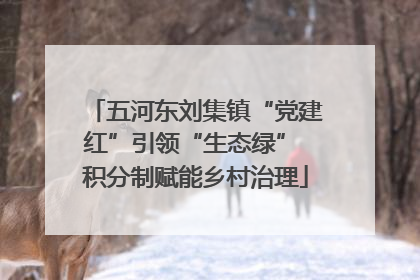 五河东刘集镇“党建红”引领“生态绿” 积分制赋能乡村治理