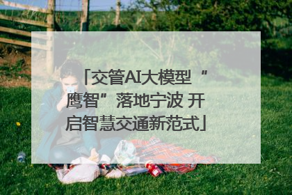 交管AI大模型“鹰智”落地宁波 开启智慧交通新范式