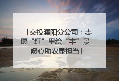 交投濮阳分公司：志愿“红”里绘“丰”景 暖心助农显担当