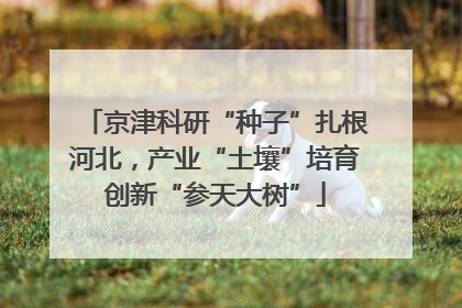 京津科研“种子”扎根河北，产业“土壤”培育创新“参天大树”