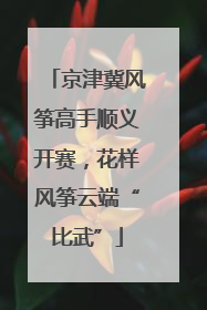 京津冀风筝高手顺义开赛，花样风筝云端“比武”