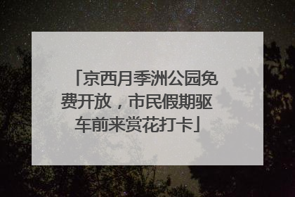 京西月季洲公园免费开放，市民假期驱车前来赏花打卡