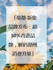 亳都·新象品牌发布：超30%首进品牌，解码郑州消费升级