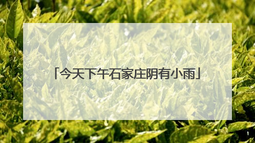 今天下午石家庄阴有小雨