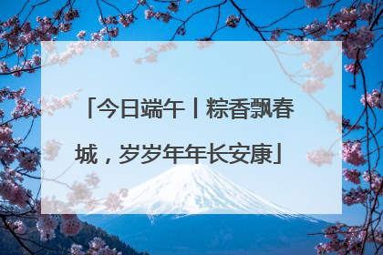 今日端午丨粽香飘春城，岁岁年年长安康
