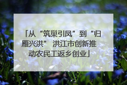 从“筑巢引凤”到“归雁兴洪” 洪江市创新推动农民工返乡创业