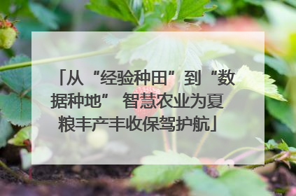 从“经验种田”到“数据种地” 智慧农业为夏粮丰产丰收保驾护航