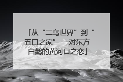 从“二鸟世界”到“五口之家” 一对东方白鹳的黄河口之恋
