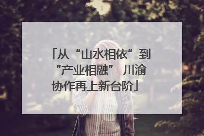 从“山水相依”到“产业相融” 川渝协作再上新台阶