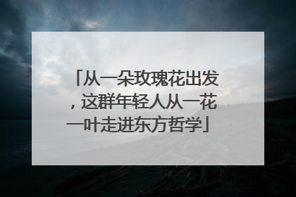 从一朵玫瑰花出发，这群年轻人从一花一叶走进东方哲学