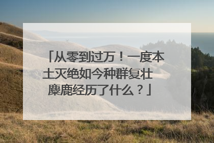 从零到过万！一度本土灭绝如今种群复壮 麋鹿经历了什么？