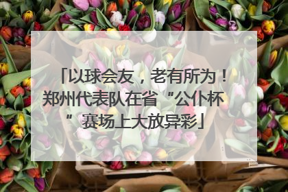 以球会友，老有所为！郑州代表队在省“公仆杯”赛场上大放异彩