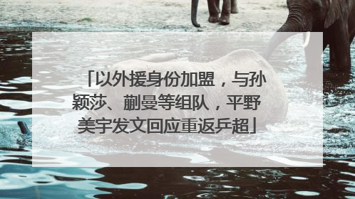 以外援身份加盟，与孙颖莎、蒯曼等组队，平野美宇发文回应重返乒超