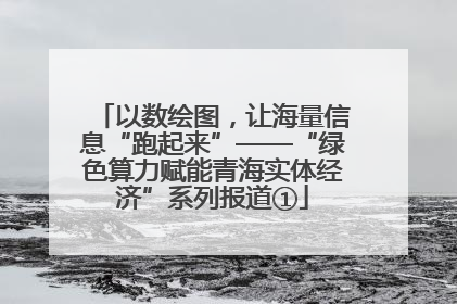 以数绘图，让海量信息“跑起来”——“绿色算力赋能青海实体经济”系列报道①
