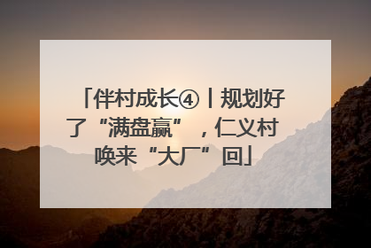 伴村成长④丨规划好了“满盘赢”，仁义村唤来“大厂”回