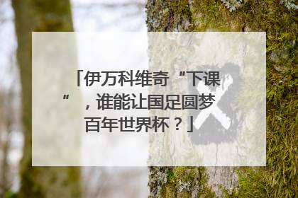 伊万科维奇“下课”，谁能让国足圆梦百年世界杯？