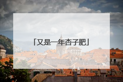 又是一年杏子肥