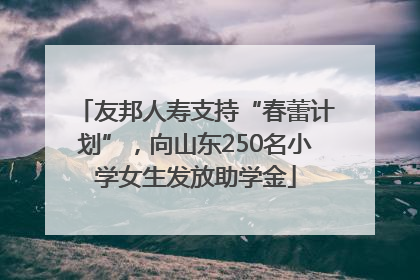 友邦人寿支持“春蕾计划”，向山东250名小学女生发放助学金